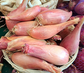 Onions - Shallots RED (LOCAL)